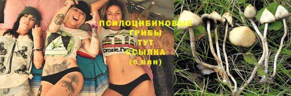амфетамин Гусиноозёрск