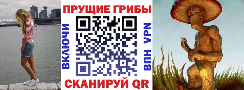Псилоцибиновые грибы Magic Shrooms  Томилино 